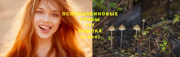 ALPHA PVP Беломорск