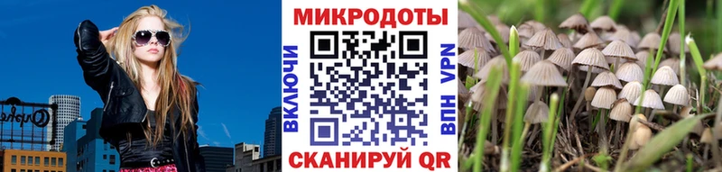 Псилоцибиновые грибы прущие грибы Суджа