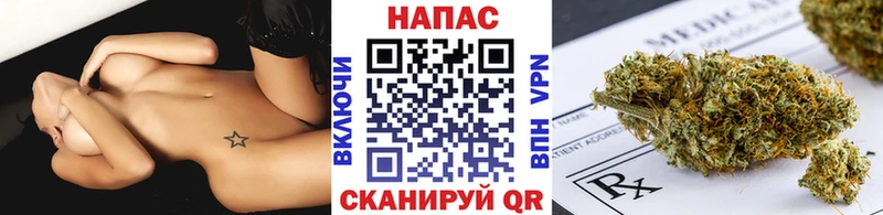 Бошки марихуана OG Kush  Суджа 